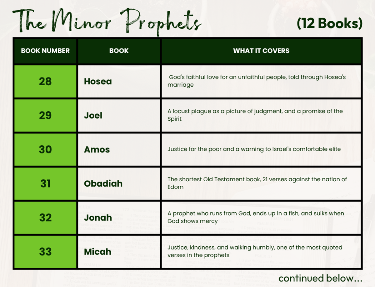 Table showing the twelve Minor Prophet books in order: 28 Hosea, 29 Joel, 30 Amos, 31 Obadiah, 32 Jonah, 33 Micah, 34 Nahum, 35 Habakkuk, 36 Zephaniah, 37 Haggai, 38 Zechariah, 39 Malachi — with a one-line summary of each book.
