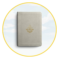 Travel Size Bibles