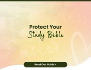 Protect Your Study Bible: Why You Need an Extra Large Case