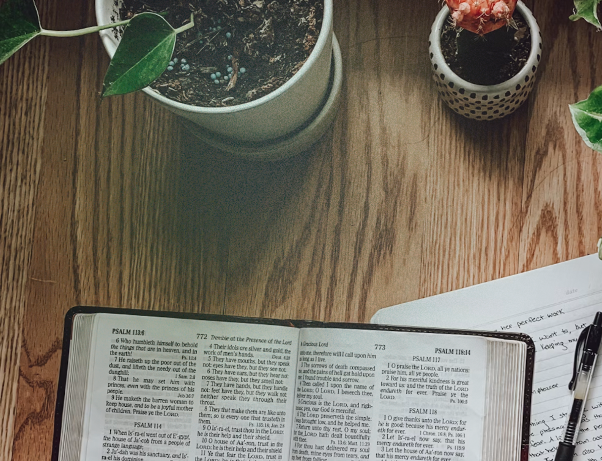 Books of the Bible in order