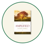 Amplified Study Bibles