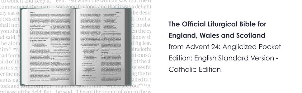 ESV-CE English Standard Version Catholic Edition Bible