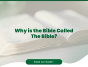 Why is the Bible Called The Bible? (A Simple Explanation)