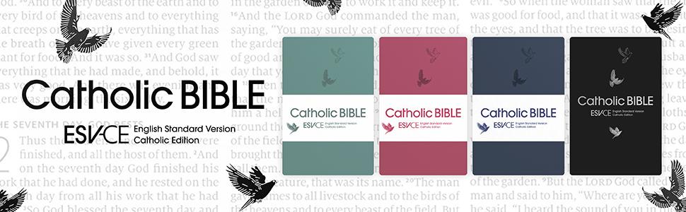 ESV-CE English Standard Version Catholic Edition Bible