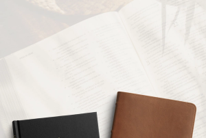 Bible Font Sizes Explained (With Actual-Size Visual Examples)