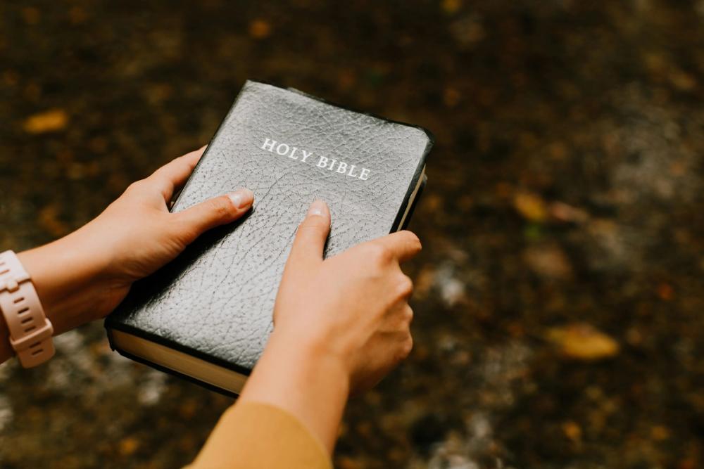 hands holding a bible