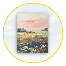 Creative Space Bibles