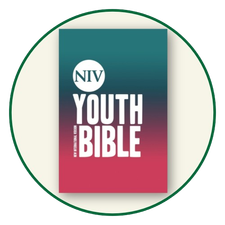 Youth NIV Bibles