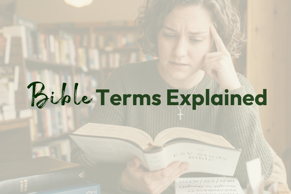 Bible Terms Explained: A Guide to Translations, Features, and Types
