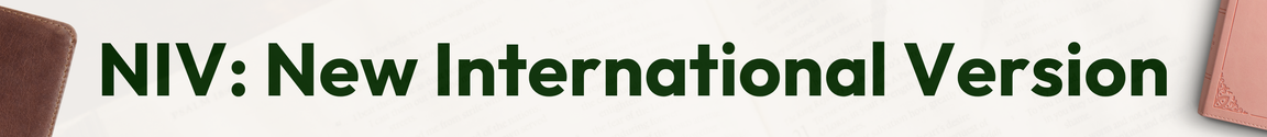 NIV: New International Version