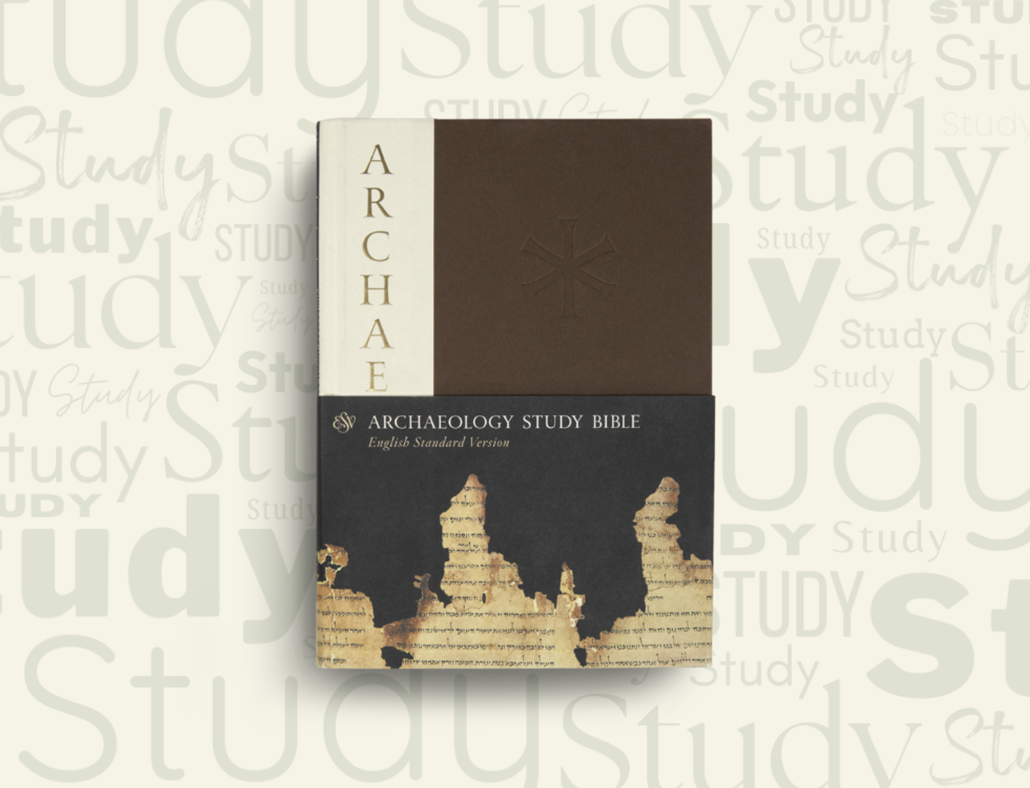 ESV Archaeology Study Bible