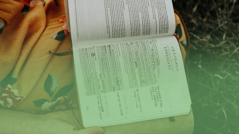 Bibles for Festivals