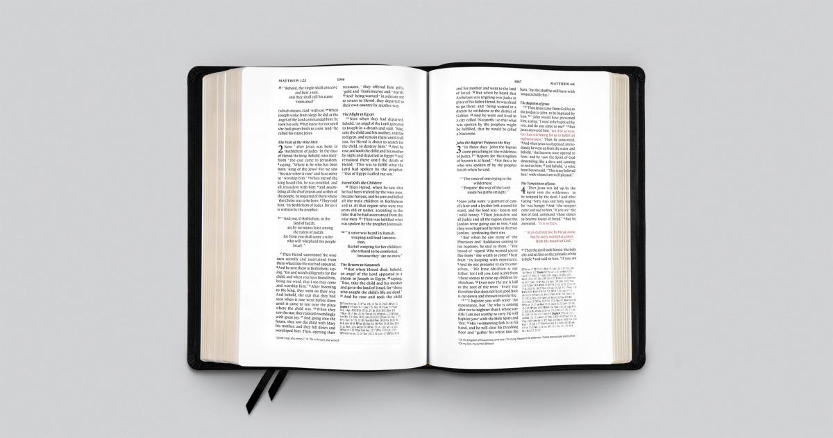 ESV Wide Margin Bible Open Page