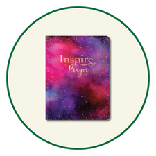 NLT Large Print Bibles