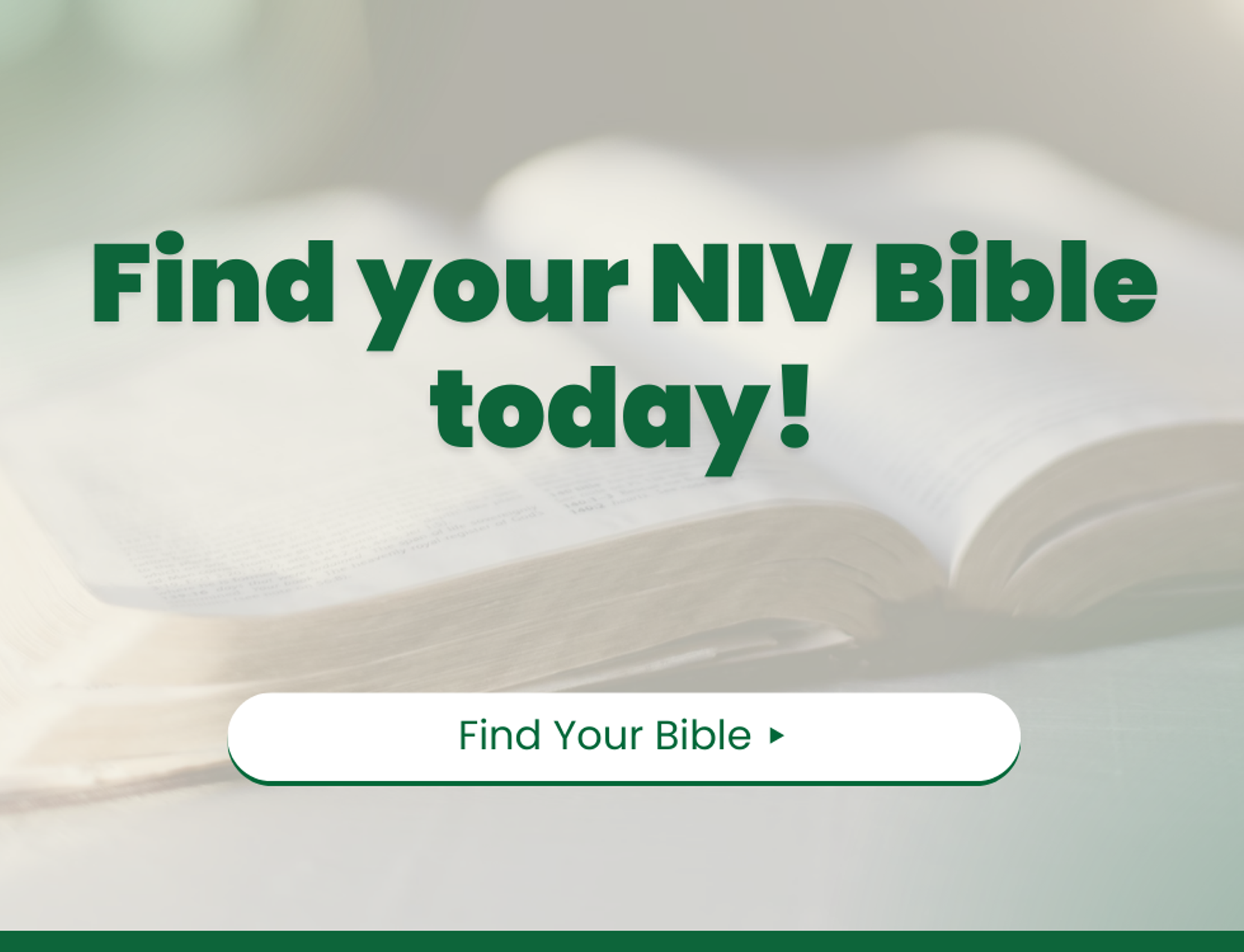 Find Your NIV Bible Today