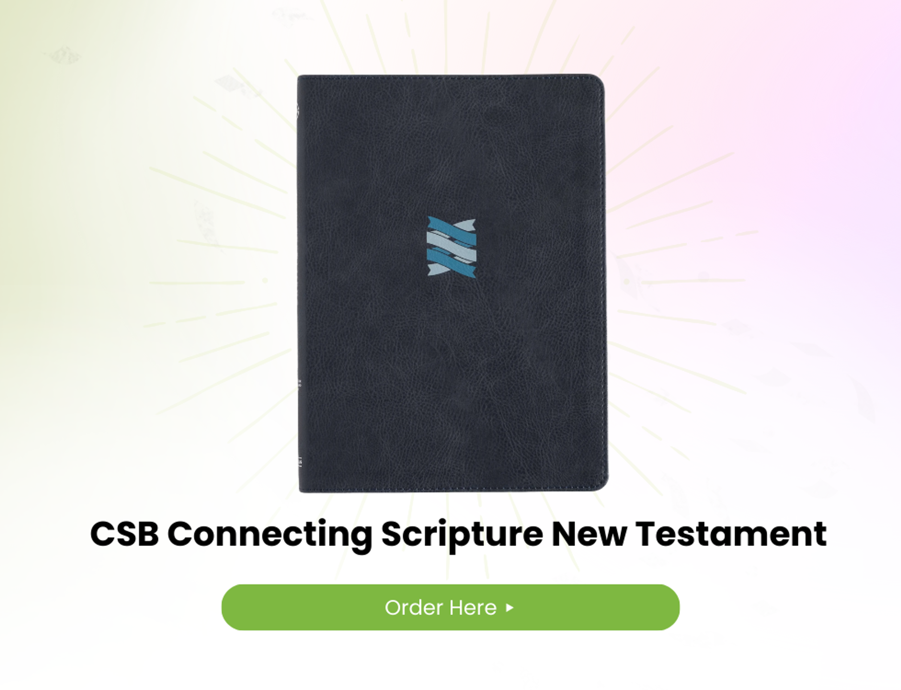 CSB Bible of the Year 2025 - CSB Connecting Scripture New Testament