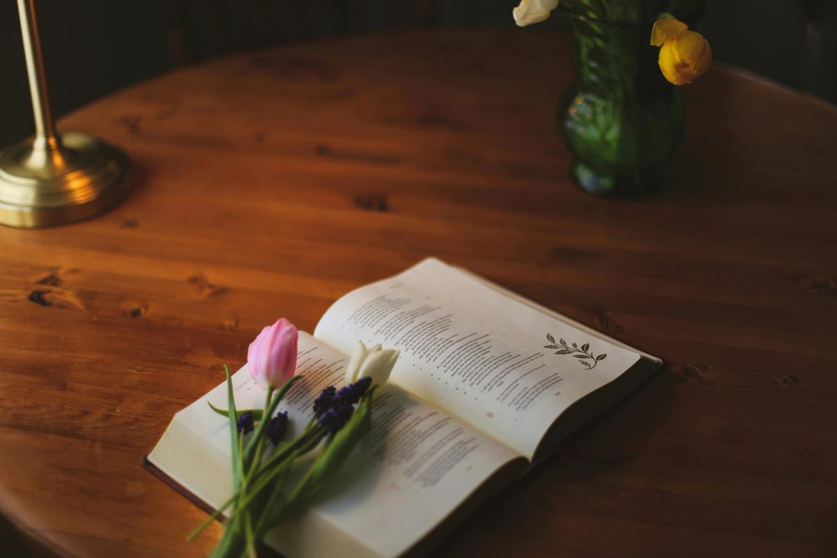 "What is a Journalling Bible?"