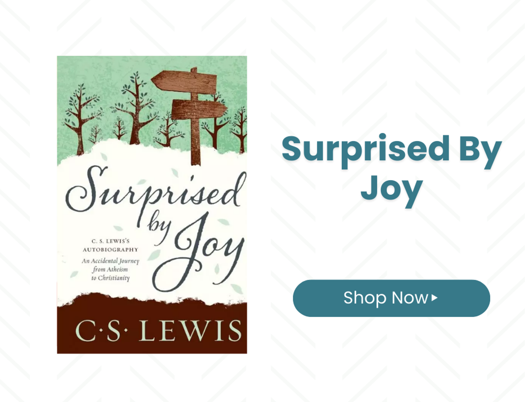 Surprised by Joy
