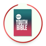 NIV Youth Bibles