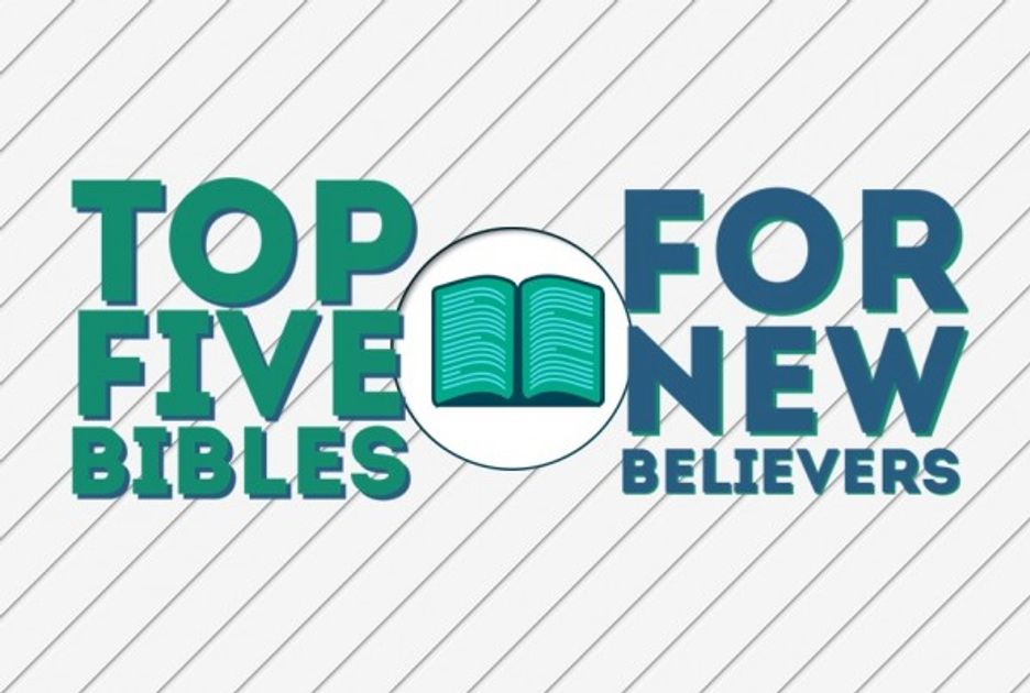 The 5 Best Bibles for New Believers a Guide for