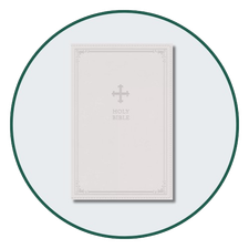 Bibles