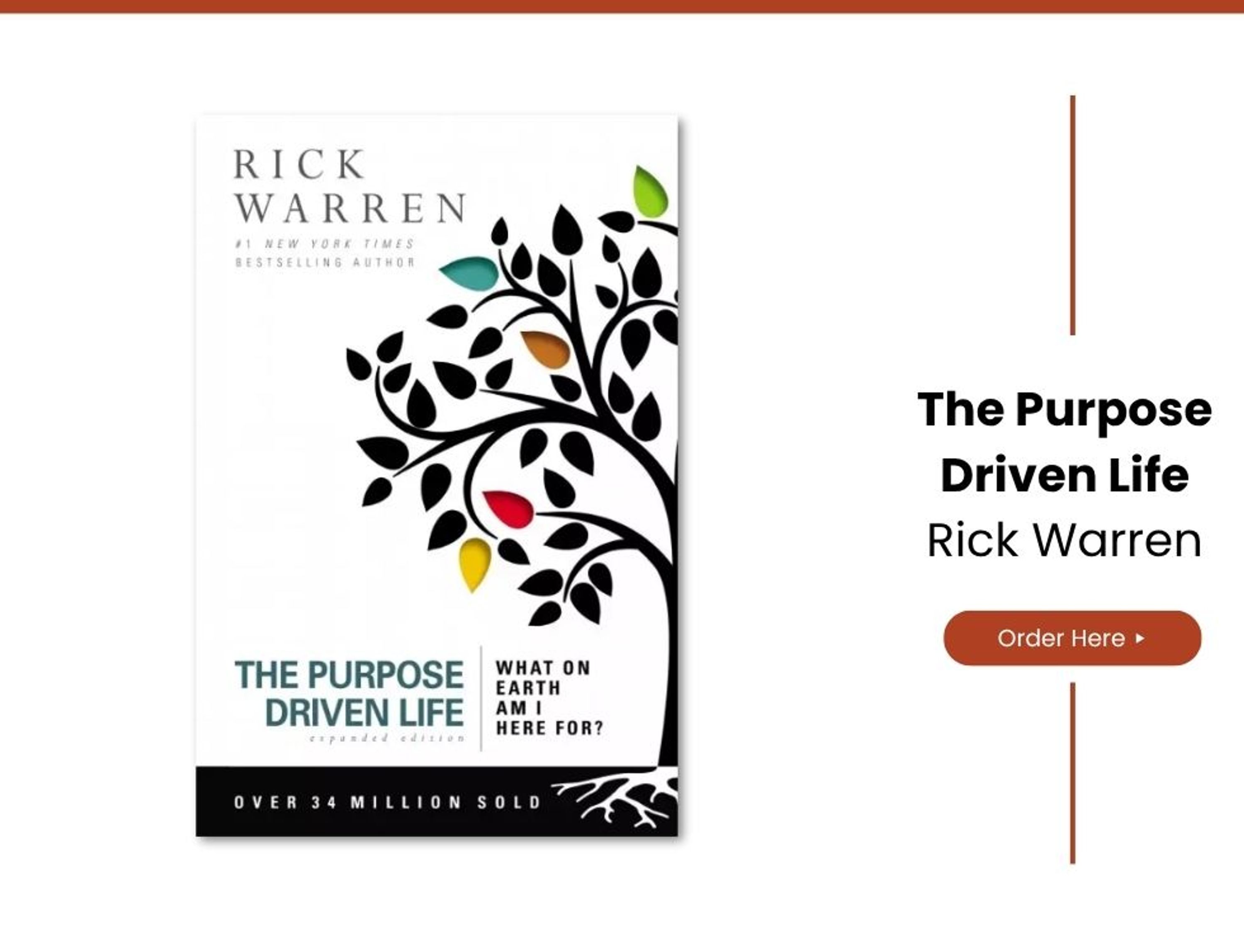 The Purpose Driven Life by Rick Warren: What It Is & Why 50 Million ...