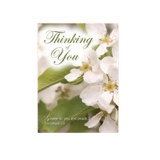 Thinking of You Cards