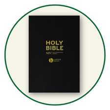 Leather NIV Bibles