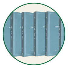 Bulk Bibles