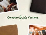 Compare Bible Versions: Find Your Perfect Translation