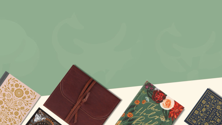 ESV Journaling Bibles