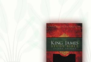 Handsome and Hardwearing Bibles for Life