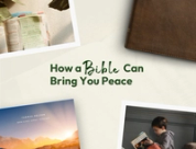 How A Bible Can Bring You Peace