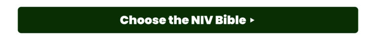 Choose the NIV