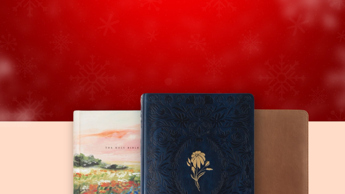 Christmas Bibles - Beautiful Bibles to Give this Christmas