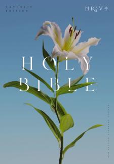 NRSV Bible