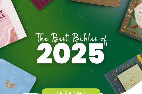 The Best Bibles of 2025