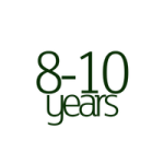 Toys for 8-10 year olds