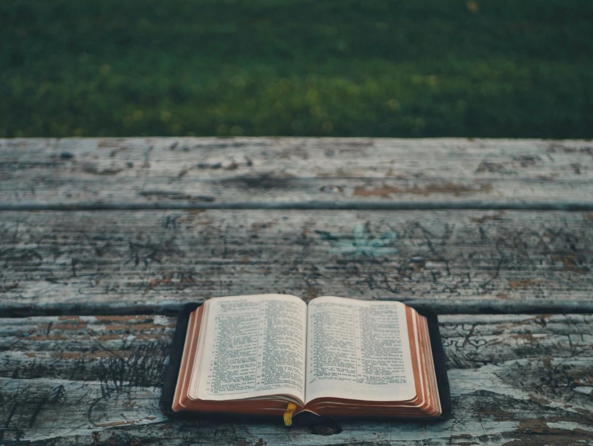 Eden's Bible Guides