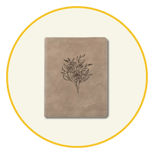 Best Selling Bibles