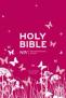 We Review NIV Tiny Bible