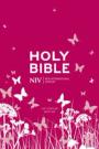 We Review NIV Tiny Bible