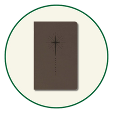 NLT Gift & Award Bibles