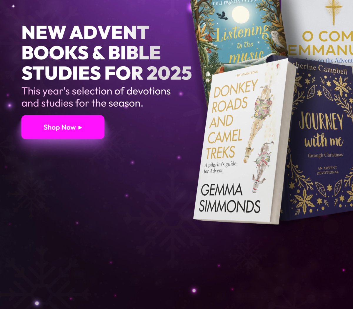 New Advent Books & Bible Studies for 2025