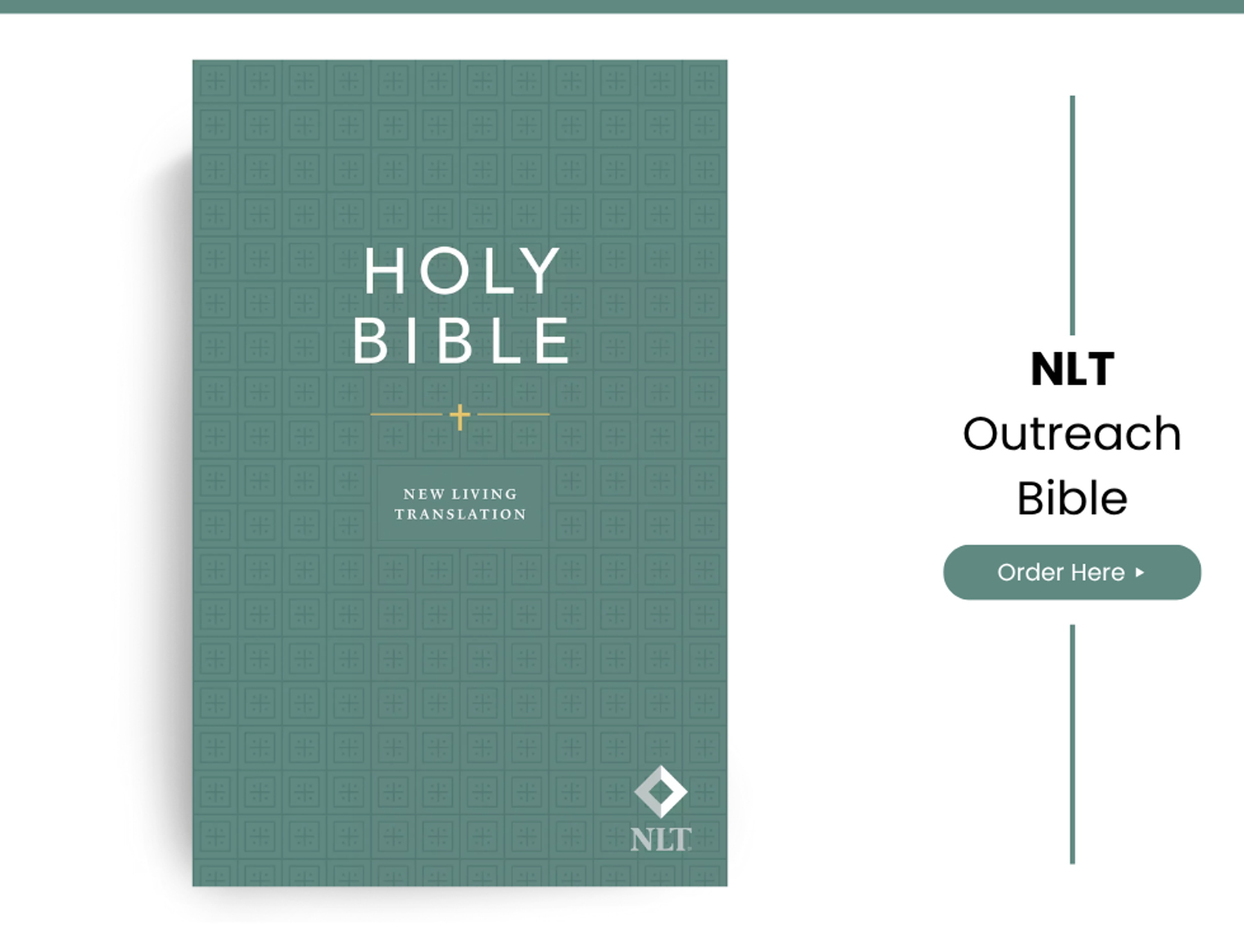 NLT Holy Bible, Economy Outreach Edition New Living Translation