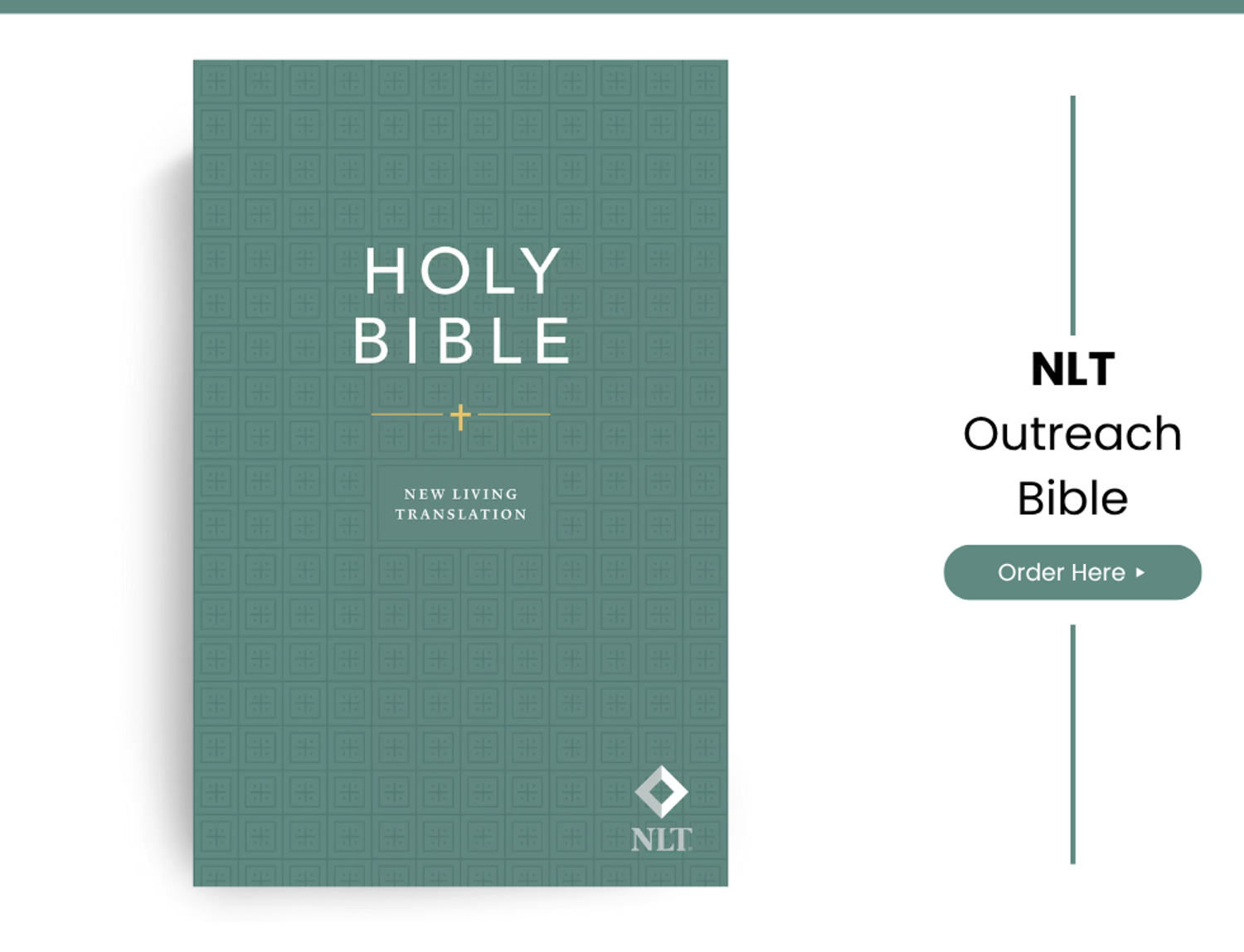 NLT Holy Bible, Economy Outreach Edition New Living Translation