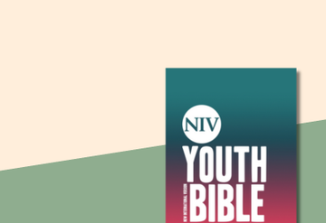 NIV Youth Bibles