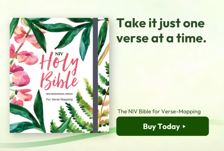 NIV Bible for Verse-Mapping, White, Hardcover