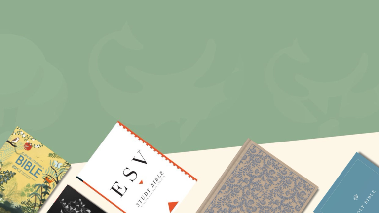 ESV Bibles: The English Standard Version