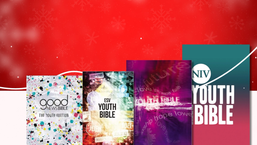 Youth Bibles